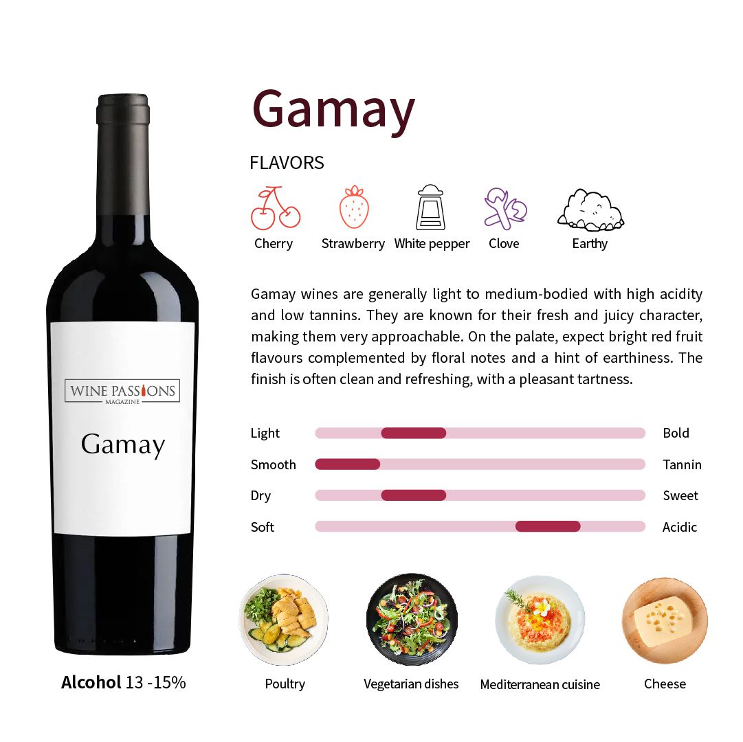Gamay Gamay葡萄 Gamay酒 博若萊葡萄 如何品嘗 Gamay Gamay風味特徵 法國紅葡萄 低單寧紅酒 清新果香紅酒 葡萄酒搭配食物 Gamay主要產區 著名 Gamay 酒 葡萄酒醒酒技巧 如何選擇品酒杯 自然釀造Gamay 輕盈紅葡萄推薦 