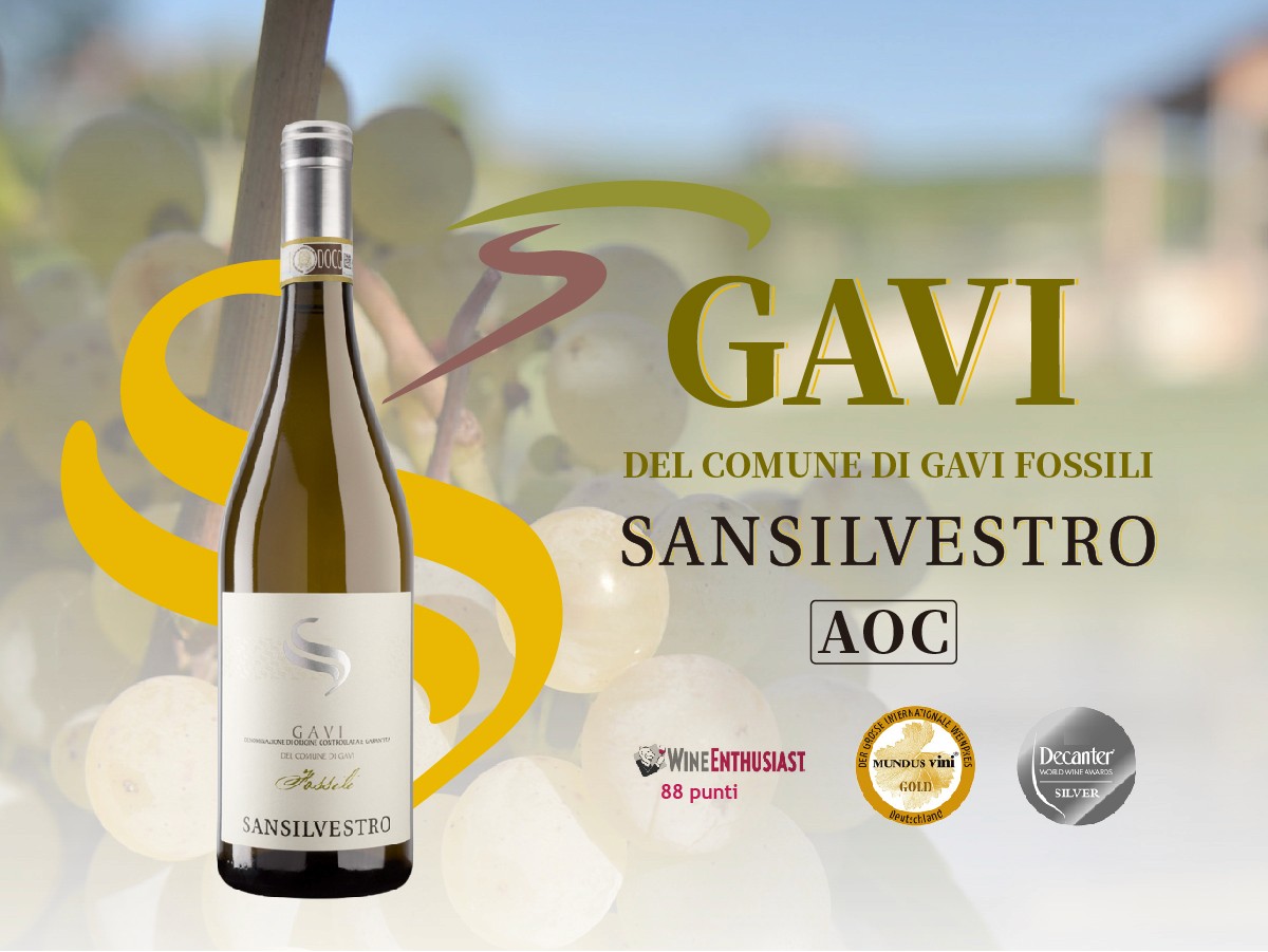 San Silvestro Gavi del Comune di Gavi Fossili DOCG 2023:最矜貴的白酒體驗