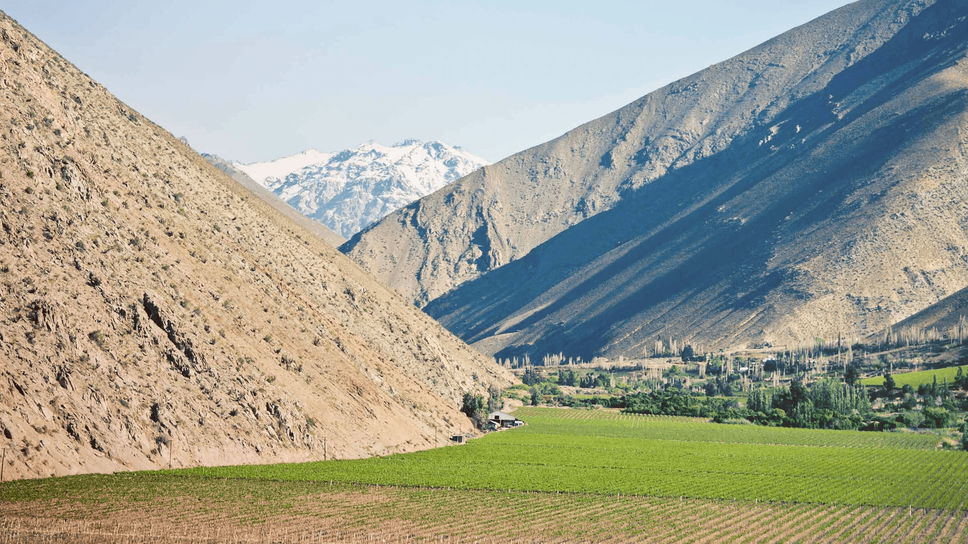 San Antonio Valley 葡萄酒 聖安東尼奧谷紅酒 聖安東尼奧谷白酒 聖安東尼奧谷酒莊 San Antonio Valley Wine 聖安東尼奧谷葡萄酒旅遊 聖安東尼奧谷品酒活動 聖安東尼奧谷產區解析 聖安東尼奧谷酒莊遊記