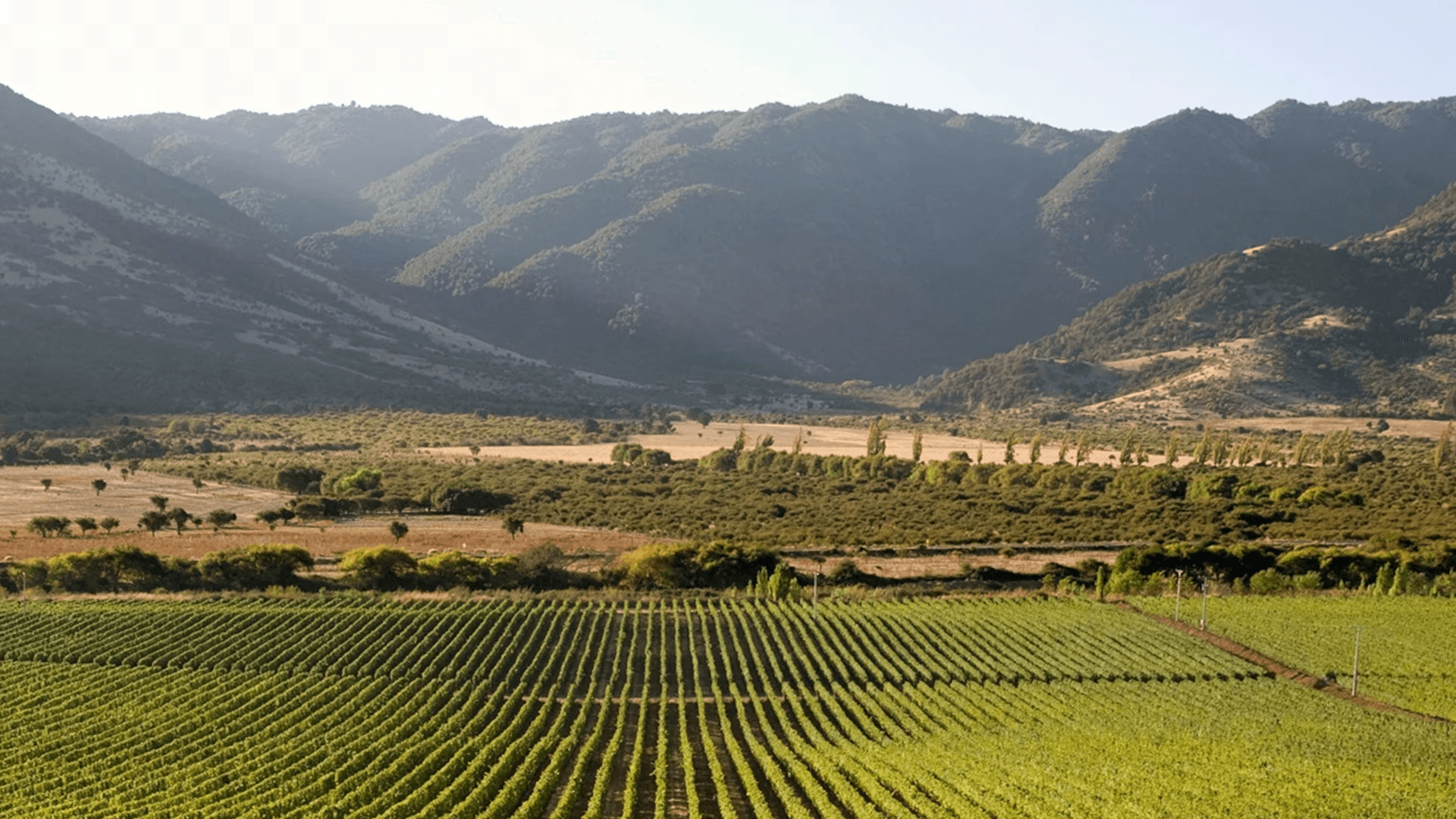 Colchagua Valley 葡萄酒 科爾查瓜谷紅酒 科爾查瓜谷白酒 科爾查瓜谷酒莊 Colchagua Valley Wine 科爾查瓜谷葡萄酒旅遊 科爾查瓜谷品酒活動 科爾查瓜谷產區解析 科爾查瓜谷酒莊遊記