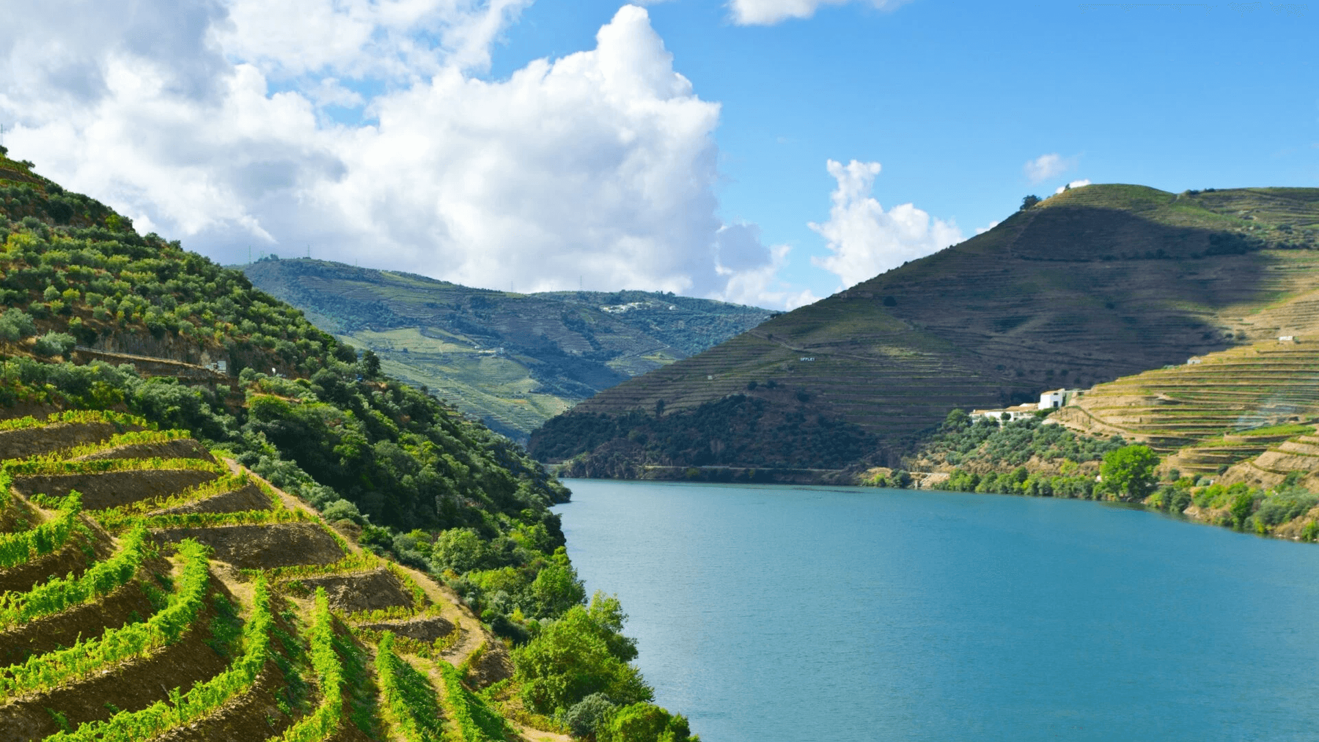 Douro Valley 葡萄酒 杜羅河谷紅酒 杜羅河谷白酒 杜羅河谷酒莊 Douro Valley Wine 杜羅河谷葡萄酒旅遊 杜羅河谷品酒活動 杜羅河谷產區解析 杜羅河谷酒莊遊記