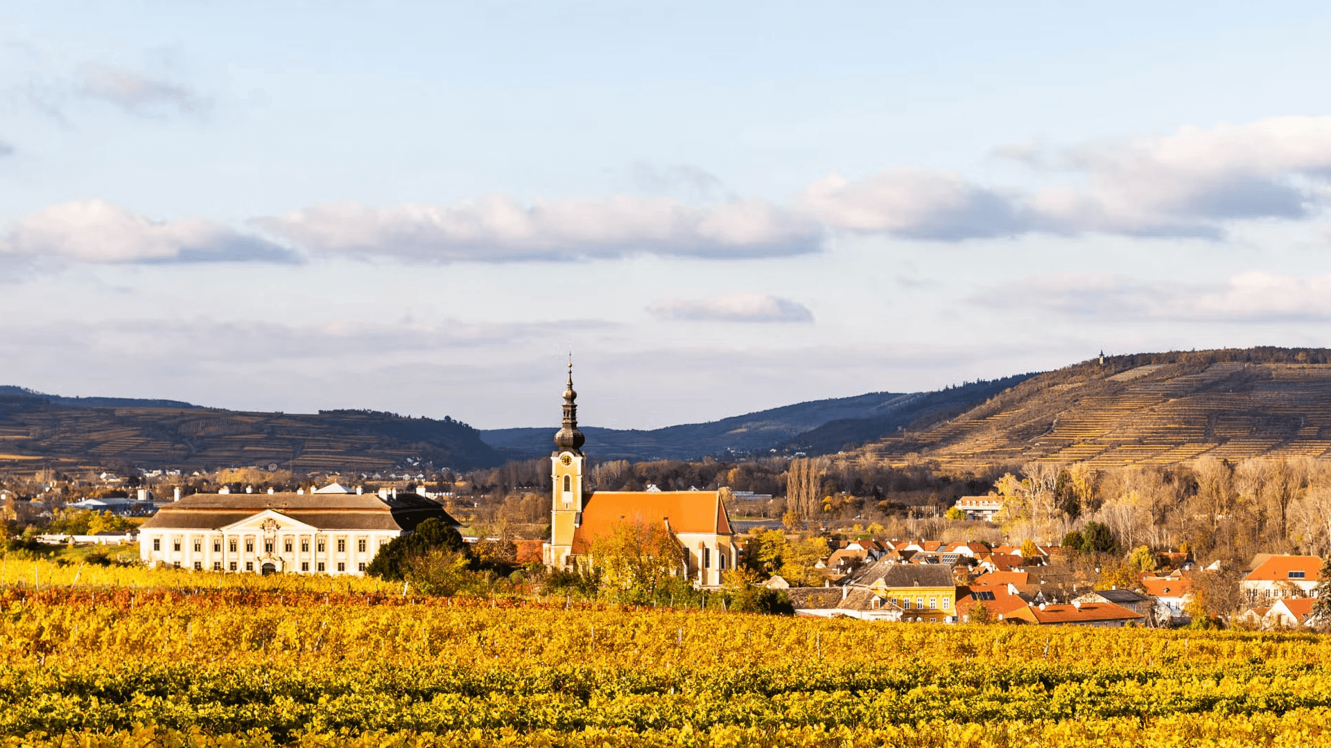 Vienna 葡萄酒 維也納紅酒 維也納白酒 維也納酒莊 Vienna Wine 維也納葡萄酒旅遊 維也納品酒活動 維也納產區解析 維也納酒莊遊記