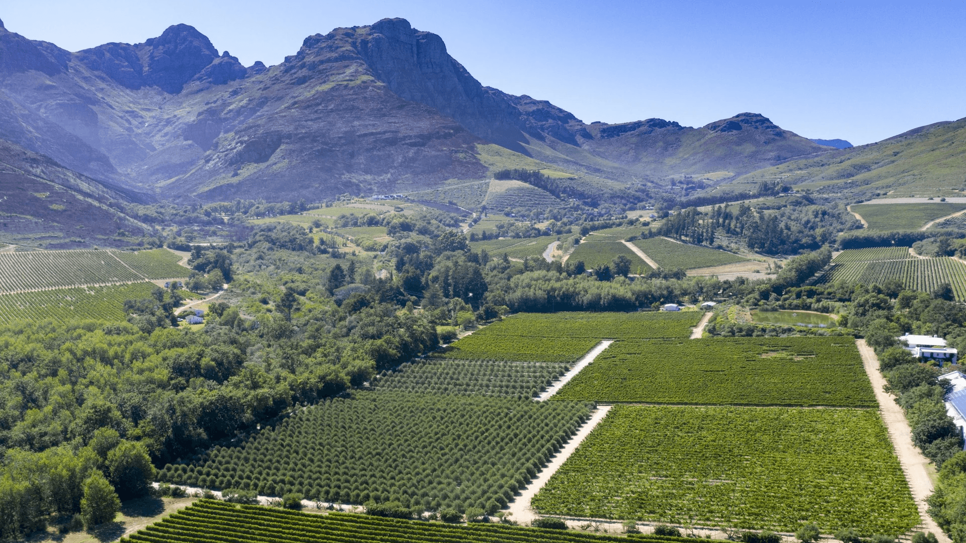 Stellenbosch 葡萄酒 斯泰倫博斯紅酒 斯泰倫博斯白酒 斯泰倫博斯酒莊 Stellenbosch Wine 斯泰倫博斯葡萄酒旅遊 斯泰倫博斯品酒活動 斯泰倫博斯產區解析 斯泰倫博斯酒莊遊記