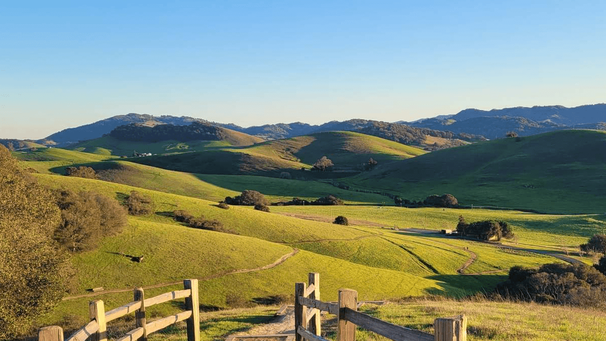Sonoma County葡萄酒 Sonoma County酒莊 霞多麗產區 黑皮諾產區 赤霞珠產區 仙粉黛產區 Sonoma County葡萄品種 Sonoma County葡萄酒歷史 Sonoma County氣候特徵 Sonoma County土壤類型 Sonoma County葡萄酒生產數據 Kendall-Jackson葡萄酒 Rodney Strong葡萄酒 Williams Selyem葡萄酒