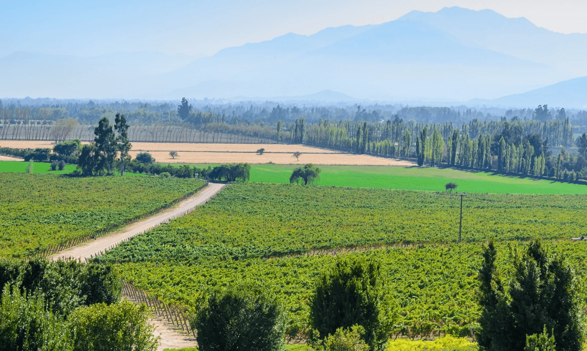 Maipo Valley 葡萄酒 馬伊波谷紅酒 馬伊波谷白酒 馬伊波谷酒莊 Maipo Valley Wine 馬伊波谷葡萄酒旅遊 馬伊波谷品酒活動 馬伊波谷產區解析 馬伊波谷酒莊遊記