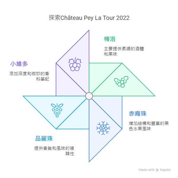 Château Pey La Tour 2022 是一款波爾多紅酒，由梅洛（Merlot）、赤霞珠（Cabernet Sauvignon）、品麗珠（Cabernet Franc）和小維多（Petit Verdot）混合釀製而成。它以其高達 15% 的酒精濃度成為市場上的罕有珍品，展現出濃郁且複雜的風味。  