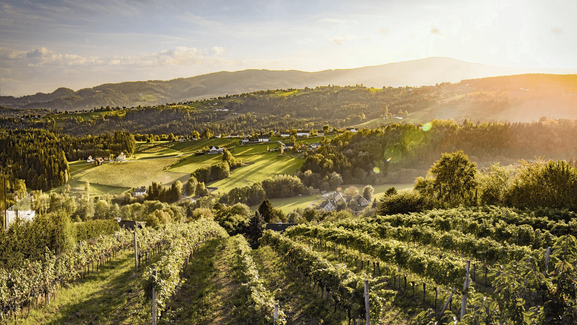 Steiermark 葡萄酒 施泰爾馬克紅酒 施泰爾馬克白酒 施泰爾馬克酒莊 Steiermark Wine 施泰爾馬克葡萄酒旅遊 施泰爾馬克品酒活動 施泰爾馬克產區解析 施泰爾馬克酒莊遊記