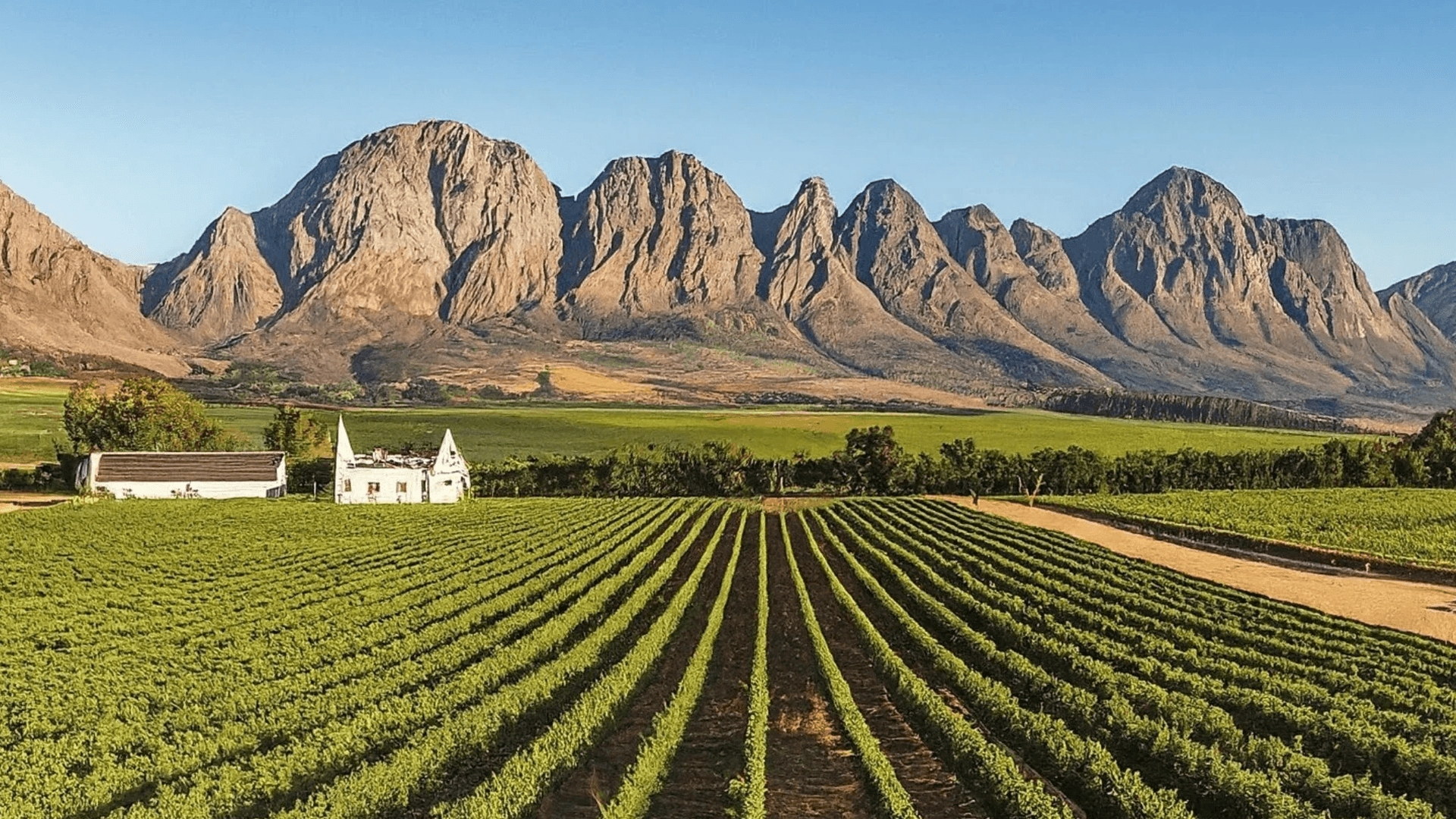 Paarl 葡萄酒 帕阿爾紅酒 帕阿爾白酒 帕阿爾酒莊 Paarl Wine 帕阿爾葡萄酒旅遊 帕阿爾品酒活動 帕阿爾產區解析 帕阿爾酒莊遊記