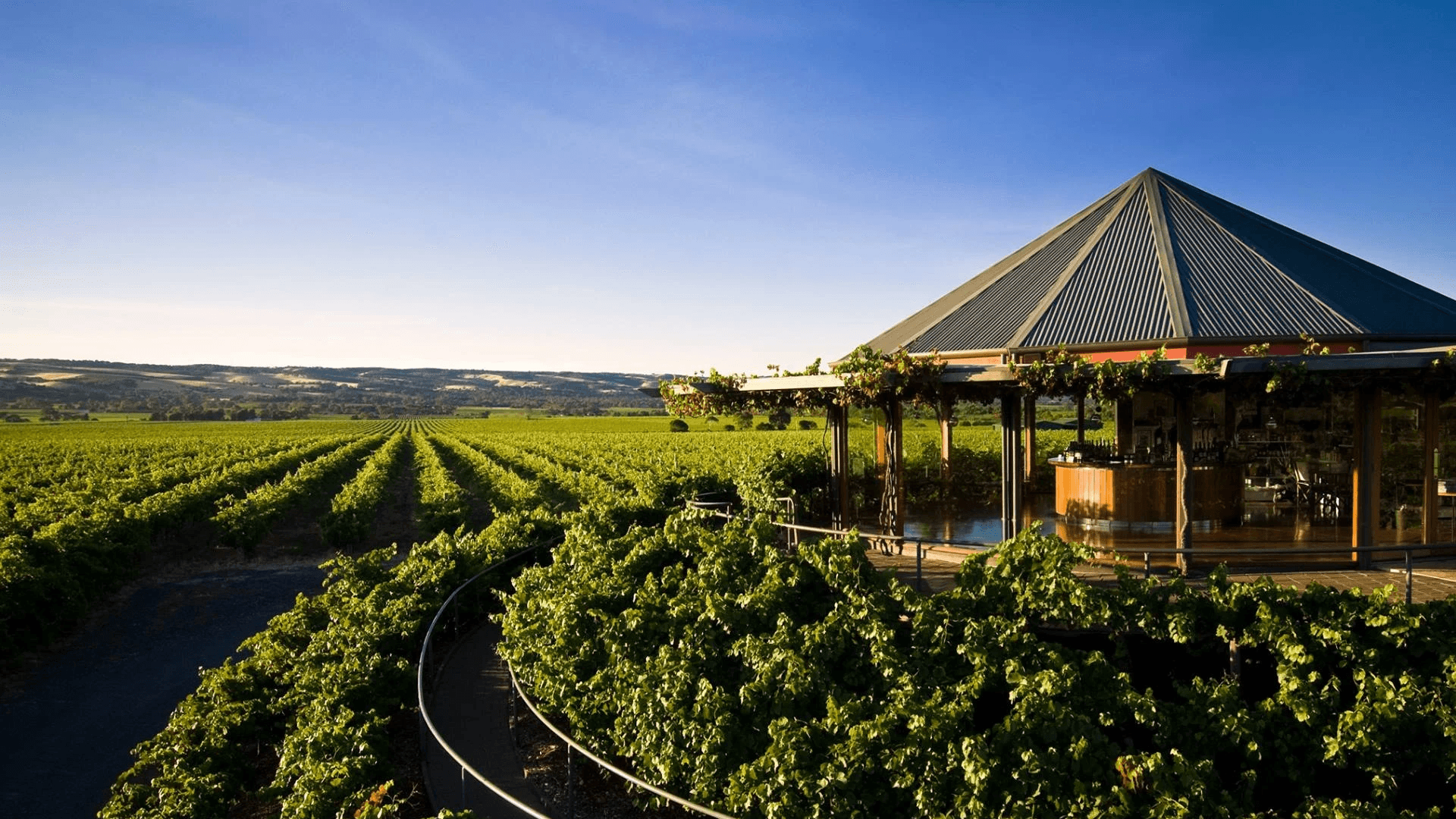 South Australia 葡萄酒 南澳紅酒 南澳白酒 南澳酒莊 South Australian Wine 南澳葡萄酒旅遊 南澳品酒活動 南澳產區解析 南澳酒莊遊記 